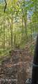  Bunch Hollow Rd - Photo 10