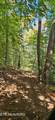 Bunch Hollow Rd - Photo 11