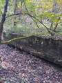  Bunch Hollow Rd - Photo 12