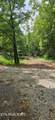  Bunch Hollow Rd - Photo 15