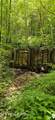  Bunch Hollow Rd - Photo 17