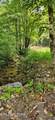  Bunch Hollow Rd - Photo 5