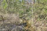 60.6 Acres Dogwood Rd - Photo 1