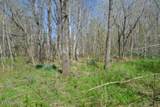 87+/- Boles Rd Rd - Photo 25