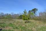 87+/- Boles Rd Rd - Photo 8