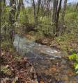 118 Wolf Creek Rd - Photo 30
