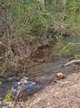 118 Wolf Creek Rd - Photo 36