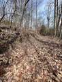  Bluff Mountain Rd - Photo 4