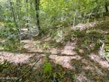  Bluff Mountain Rd - Photo 5