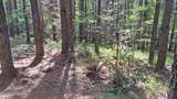 152 Sunset View Lane - Photo 12