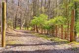 4125 Bear Hollow Loop - Photo 18