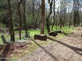 4125 Bear Hollow Loop - Photo 3