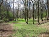 4125 Bear Hollow Loop - Photo 4