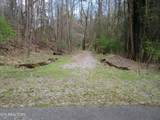 4125 Bear Hollow Loop - Photo 8