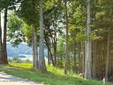 41B Bald Eagle Rd - Photo 1