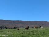 4637 Ideal Valley Rd - Photo 8
