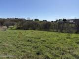 Lot 52 Marble Bluff Drive - Photo 18