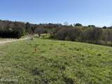 Lot 52 Marble Bluff Drive - Photo 20
