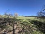 Lot 52 Marble Bluff Drive - Photo 28