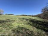 Lot 52 Marble Bluff Drive - Photo 30