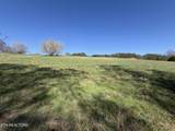 Lot 52 Marble Bluff Drive - Photo 31
