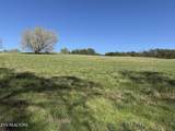 Lot 52 Marble Bluff Drive - Photo 32