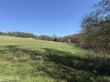 Lot 52 Marble Bluff Drive - Photo 34