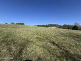 Lot 52 Marble Bluff Drive - Photo 39