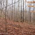 Lot 14 Cheyenne Drive - Photo 4