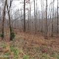 Lot 14 Cheyenne Drive - Photo 7