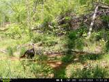 110 Braden Chapel Rd - Photo 10