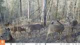 110 Braden Chapel Rd - Photo 11
