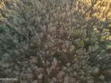 110 Braden Chapel Rd - Photo 44