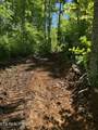 110 Braden Chapel Rd - Photo 58