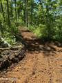 110 Braden Chapel Rd - Photo 59