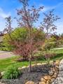 7425 Lawford Rd - Photo 47