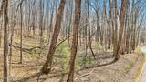 1300 Old Sugar Limb Rd - Photo 20