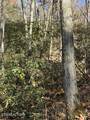  Parcel 053 050.00 Obes Branch Rd - Photo 11