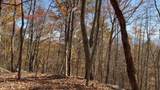  Parcel 053 050.00 Obes Branch Rd - Photo 14