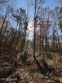  Parcel 053 050.00 Obes Branch Rd - Photo 16