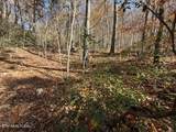  Parcel 053 050.00 Obes Branch Rd - Photo 19