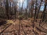  Parcel 053 050.00 Obes Branch Rd - Photo 21
