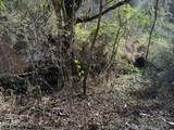  Parcel 053 050.00 Obes Branch Rd - Photo 26