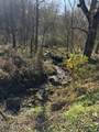 Parcel 053 050.00 Obes Branch Rd - Photo 3