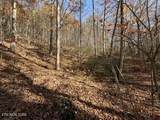  Parcel 053 050.00 Obes Branch Rd - Photo 33