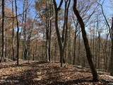  Parcel 053 050.00 Obes Branch Rd - Photo 40