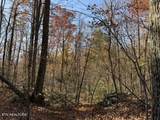  Parcel 053 050.00 Obes Branch Rd - Photo 43