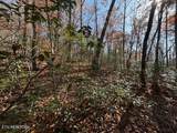  Parcel 053 050.00 Obes Branch Rd - Photo 45