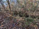  Parcel 053 050.00 Obes Branch Rd - Photo 47