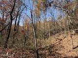  Parcel 053 050.00 Obes Branch Rd - Photo 49